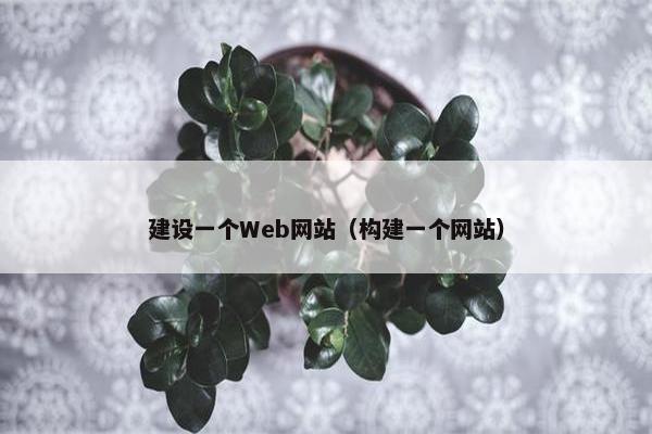 建设一个Web网站（构建一个网站）