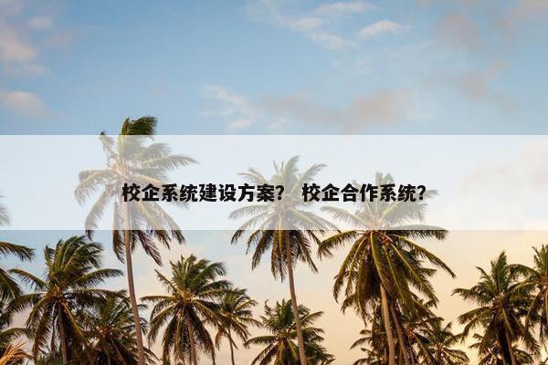 校企系统建设方案？ 校企合作系统？