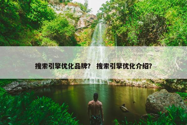 搜索引擎优化品牌？ 搜索引擎优化介绍？