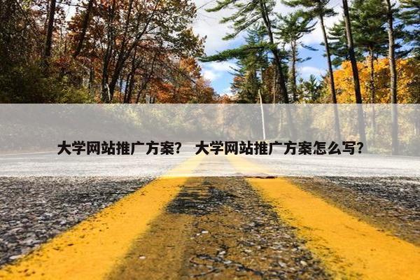 大学网站推广方案？ 大学网站推广方案怎么写？
