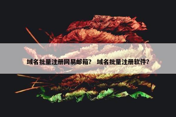 域名批量注册网易邮箱？ 域名批量注册软件？