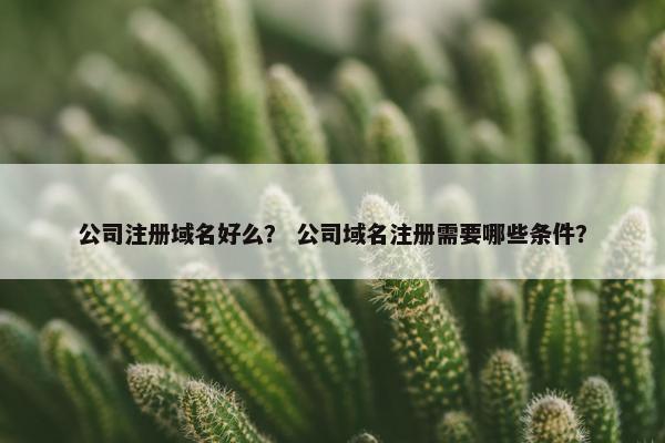 公司注册域名好么？ 公司域名注册需要哪些条件？