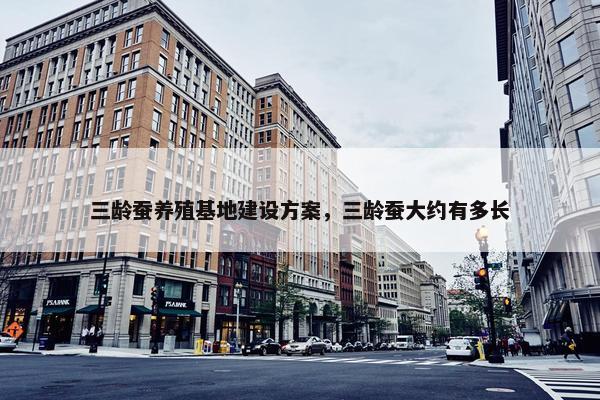三龄蚕养殖基地建设方案，三龄蚕大约有多长