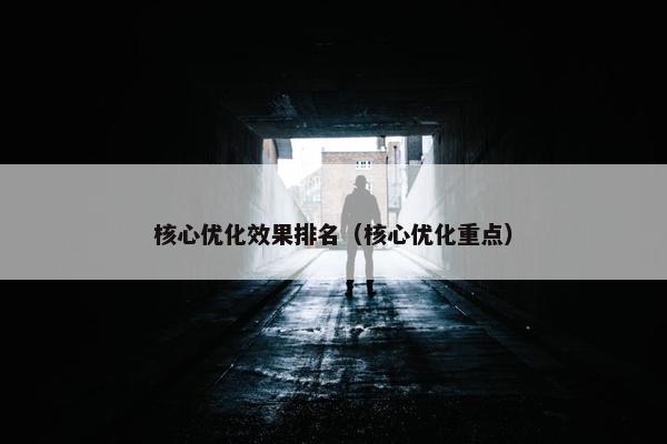 核心优化效果排名（核心优化重点）