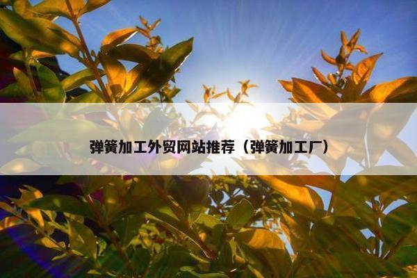 弹簧加工外贸网站推荐（弹簧加工厂）