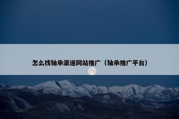 怎么找轴承渠道网站推广（轴承推广平台）