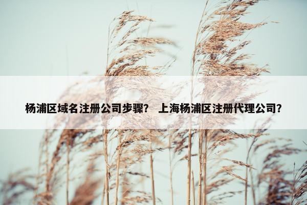 杨浦区域名注册公司步骤？ 上海杨浦区注册代理公司？