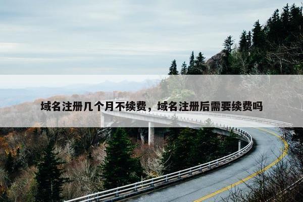 域名注册几个月不续费，域名注册后需要续费吗