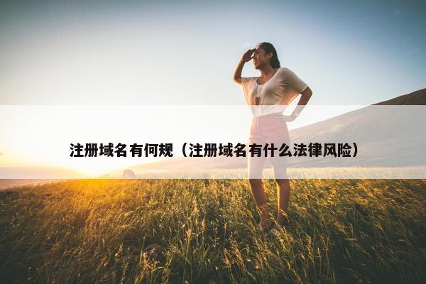注册域名有何规（注册域名有什么法律风险）