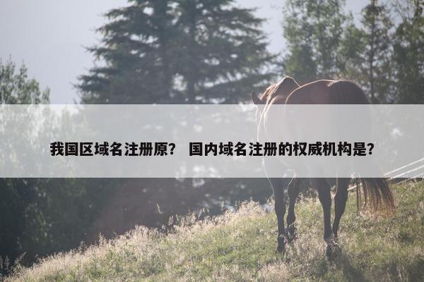 我国区域名注册原？ 国内域名注册的权威机构是？
