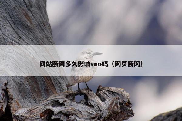 网站断网多久影响seo吗（网页断网）