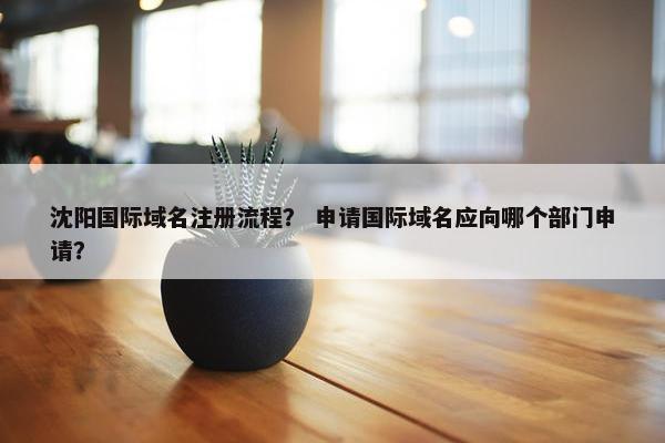 沈阳国际域名注册流程？ 申请国际域名应向哪个部门申请？