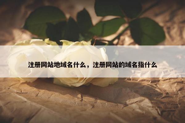 注册网站地域名什么，注册网站的域名指什么