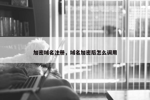 加密域名注册，域名加密后怎么调用