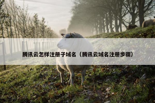 腾讯云怎样注册子域名（腾讯云域名注册步骤）