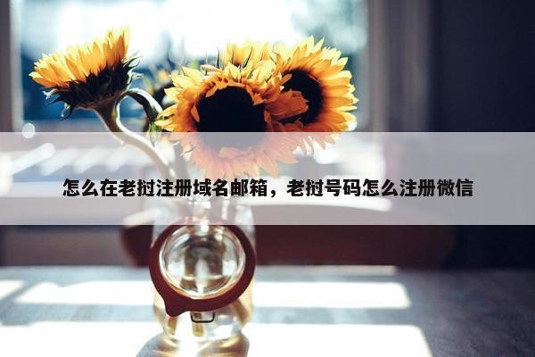怎么在老挝注册域名邮箱，老挝号码怎么注册微信