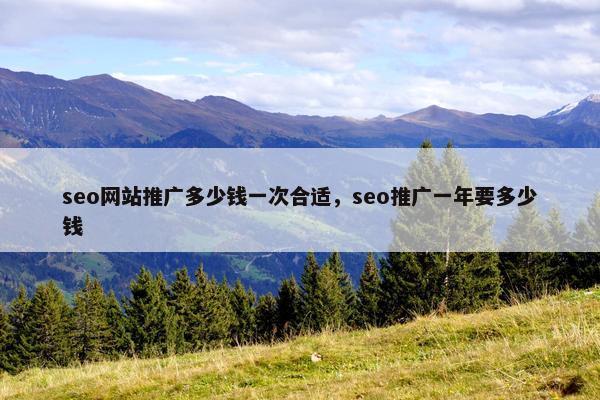 seo网站推广多少钱一次合适，seo推广一年要多少钱