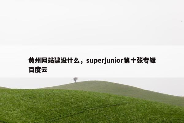黄州网站建设什么，superjunior第十张专辑百度云