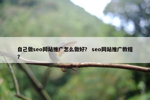 自己做seo网站推广怎么做好？ seo网站推广教程？