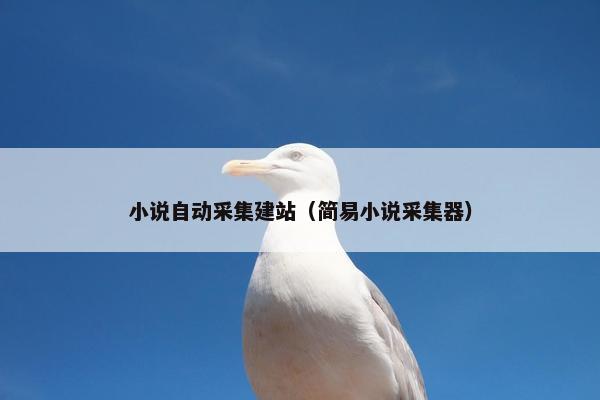 小说自动采集建站（简易小说采集器）