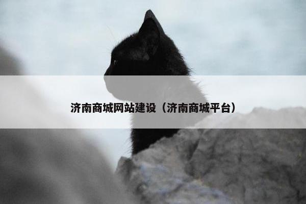 济南商城网站建设（济南商城平台）