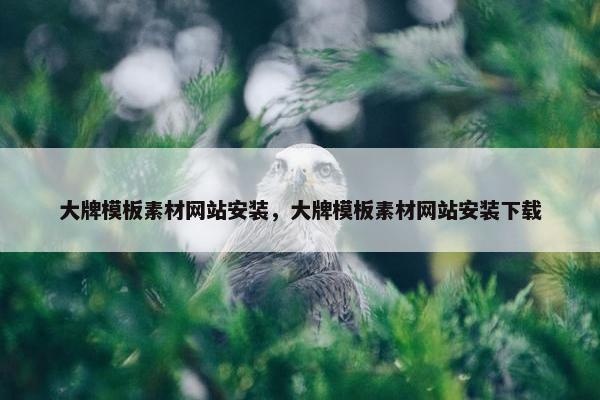 大牌模板素材网站安装，大牌模板素材网站安装下载