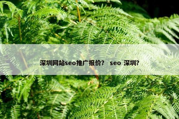 深圳网站seo推广报价？ seo 深圳？