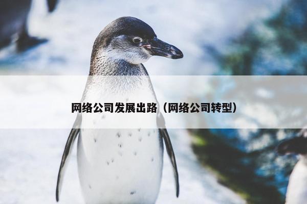 网络公司发展出路（网络公司转型）