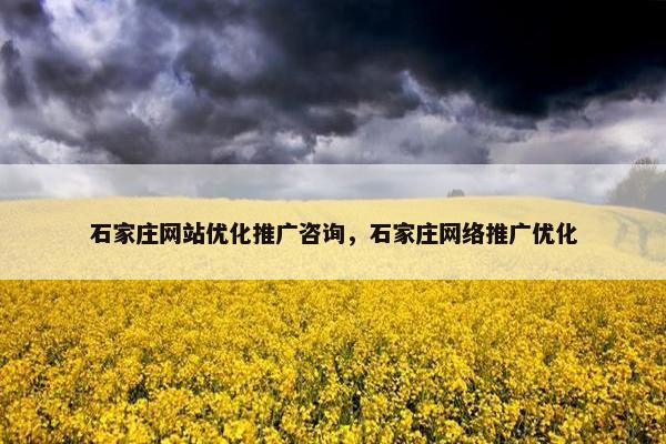 石家庄网站优化推广咨询，石家庄网络推广优化