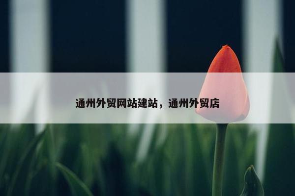 通州外贸网站建站，通州外贸店
