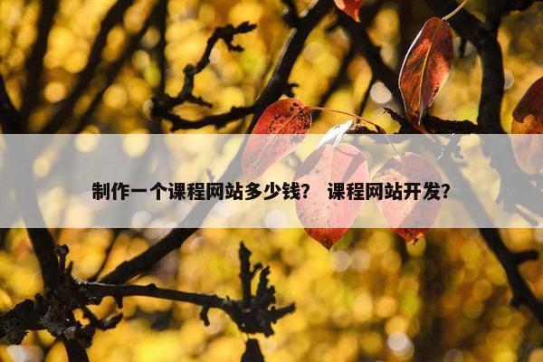 制作一个课程网站多少钱？ 课程网站开发？