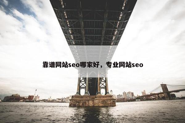 靠谱网站seo哪家好，专业网站seo