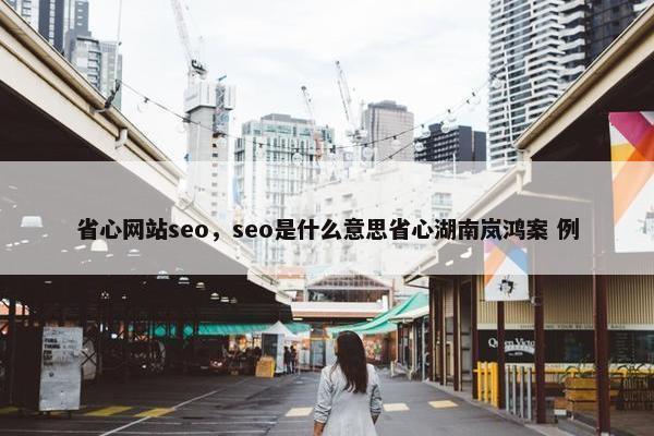 省心网站seo，seo是什么意思省心湖南岚鸿案 例