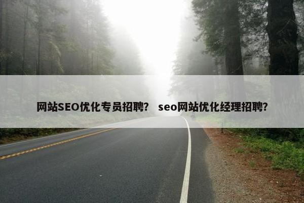 网站SEO优化专员招聘？ seo网站优化经理招聘？