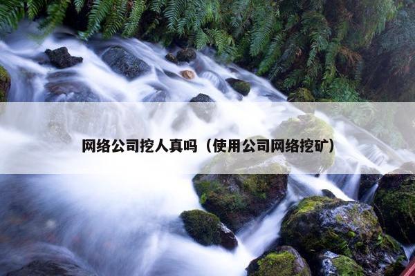 网络公司挖人真吗（使用公司网络挖矿）