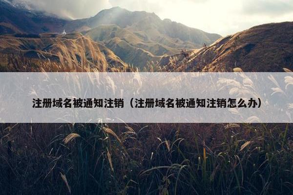 注册域名被通知注销（注册域名被通知注销怎么办）