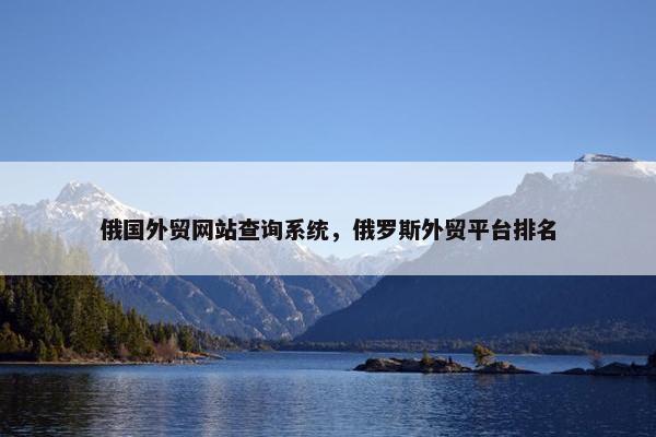 俄国外贸网站查询系统，俄罗斯外贸平台排名