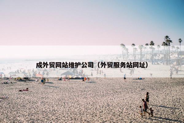 成外贸网站维护公司（外贸服务站网址）