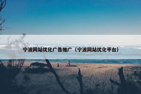 宁波网站优化广告推广（宁波网站优化平台）
