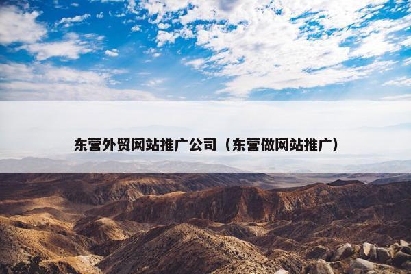 东营外贸网站推广公司（东营做网站推广）