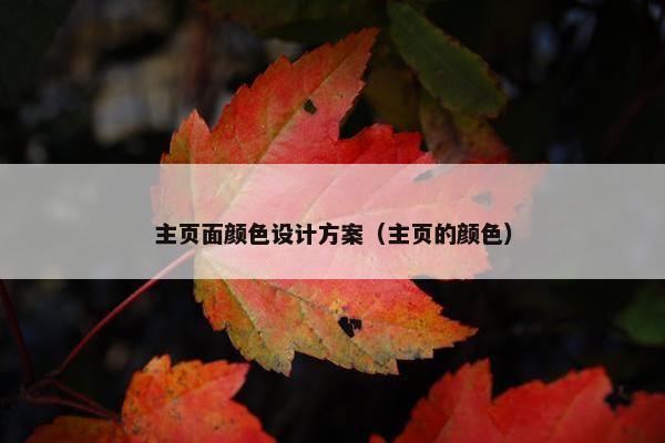 主页面颜色设计方案（主页的颜色）