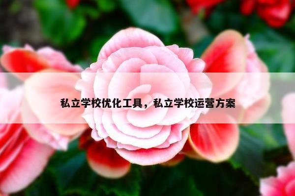 私立学校优化工具，私立学校运营方案