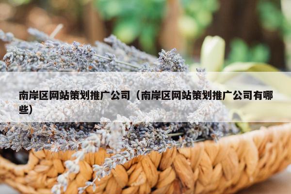 南岸区网站策划推广公司（南岸区网站策划推广公司有哪些）