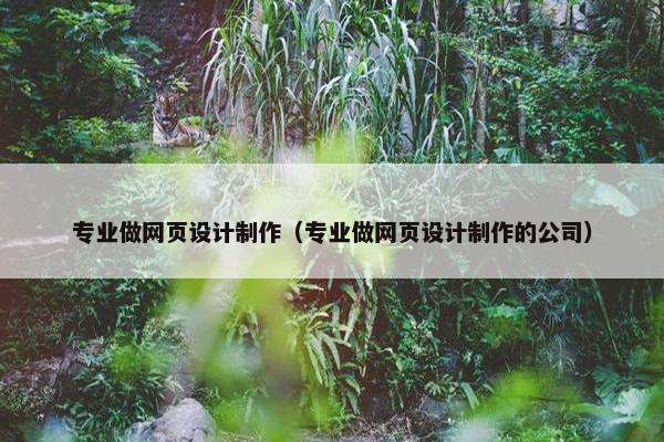 专业做网页设计制作（专业做网页设计制作的公司）