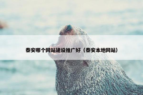 泰安哪个网站建设推广好（泰安本地网站）