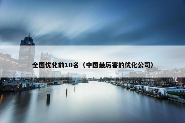 全国优化前10名（中国最厉害的优化公司）