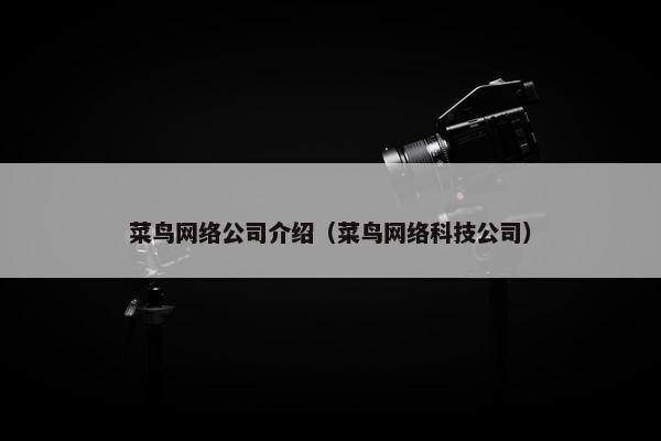 菜鸟网络公司介绍（菜鸟网络科技公司）