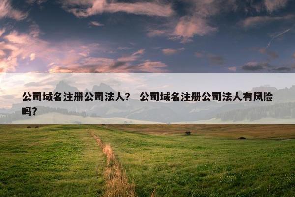 公司域名注册公司法人？ 公司域名注册公司法人有风险吗？