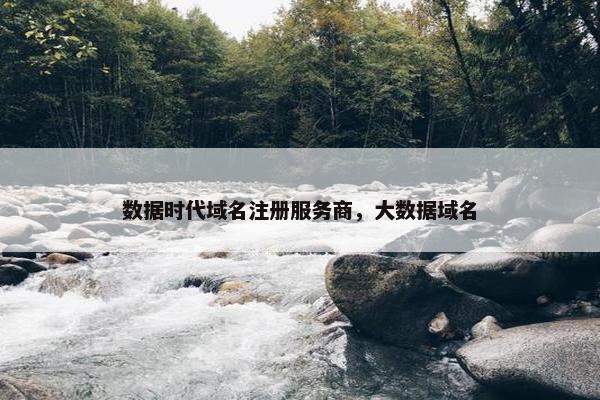 数据时代域名注册服务商，大数据域名