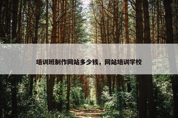 培训班制作网站多少钱，网站培训学校